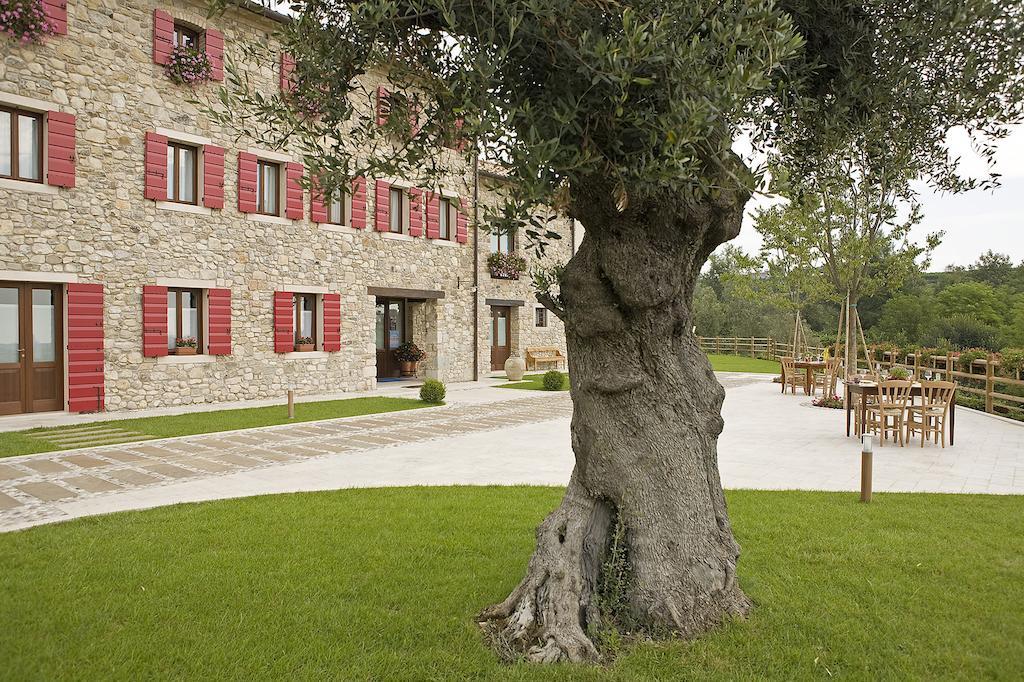 Agriturismo Althea فيتوريو فينيتو المظهر الخارجي الصورة